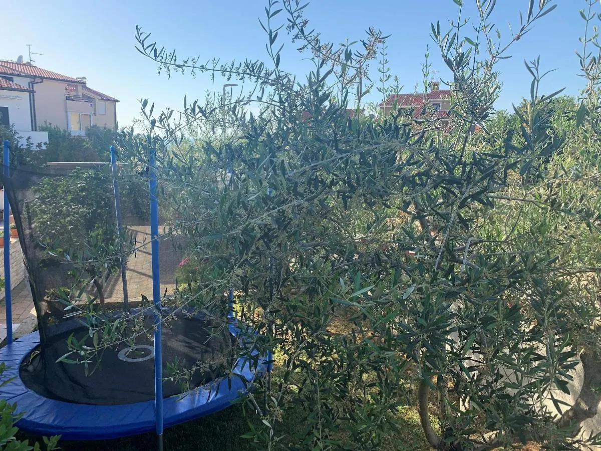 Apartment Villa Ulika - 3 Apt For 4 Persons Pula