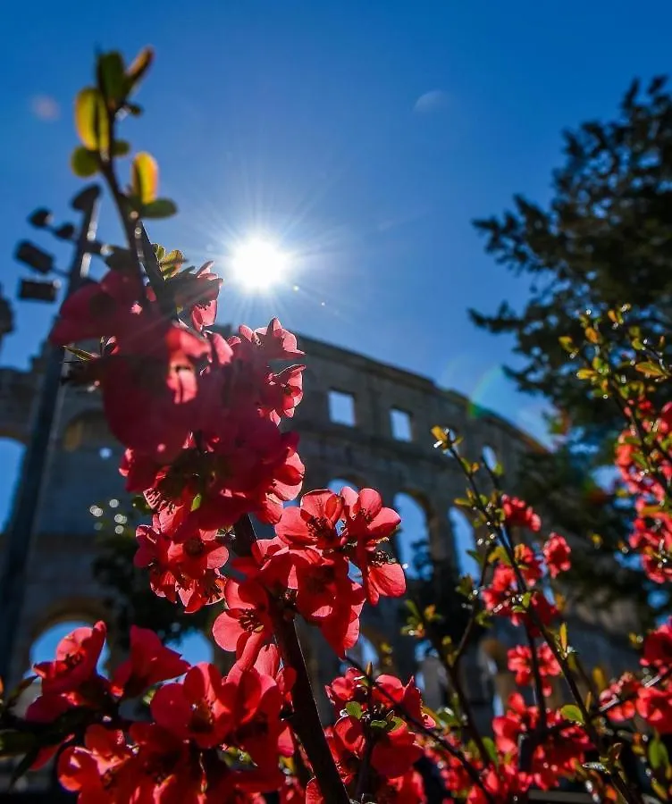 Villa Ulika - 3 Apt For 4 Persons Pula Apartment